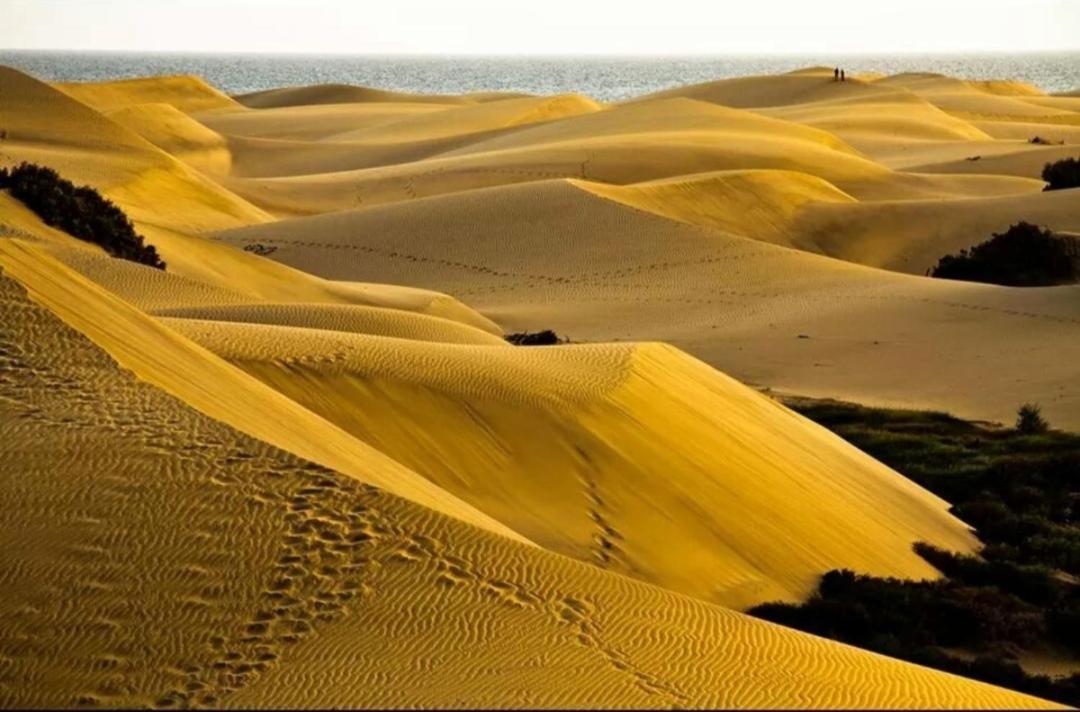 Maspalomas Dunes Appartement Playa del Inglés
