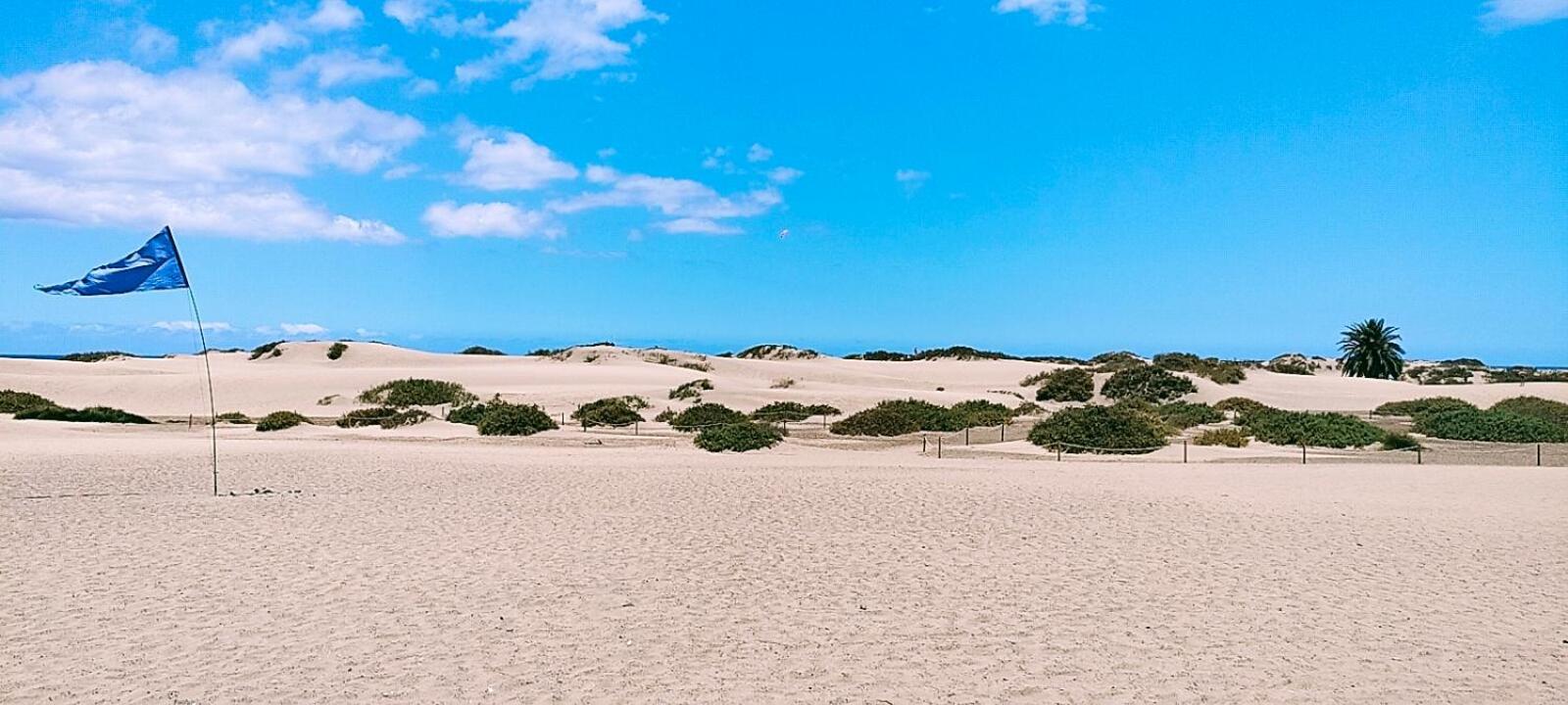Maspalomas Dunes Playa del Ingles (Gran Canaria)